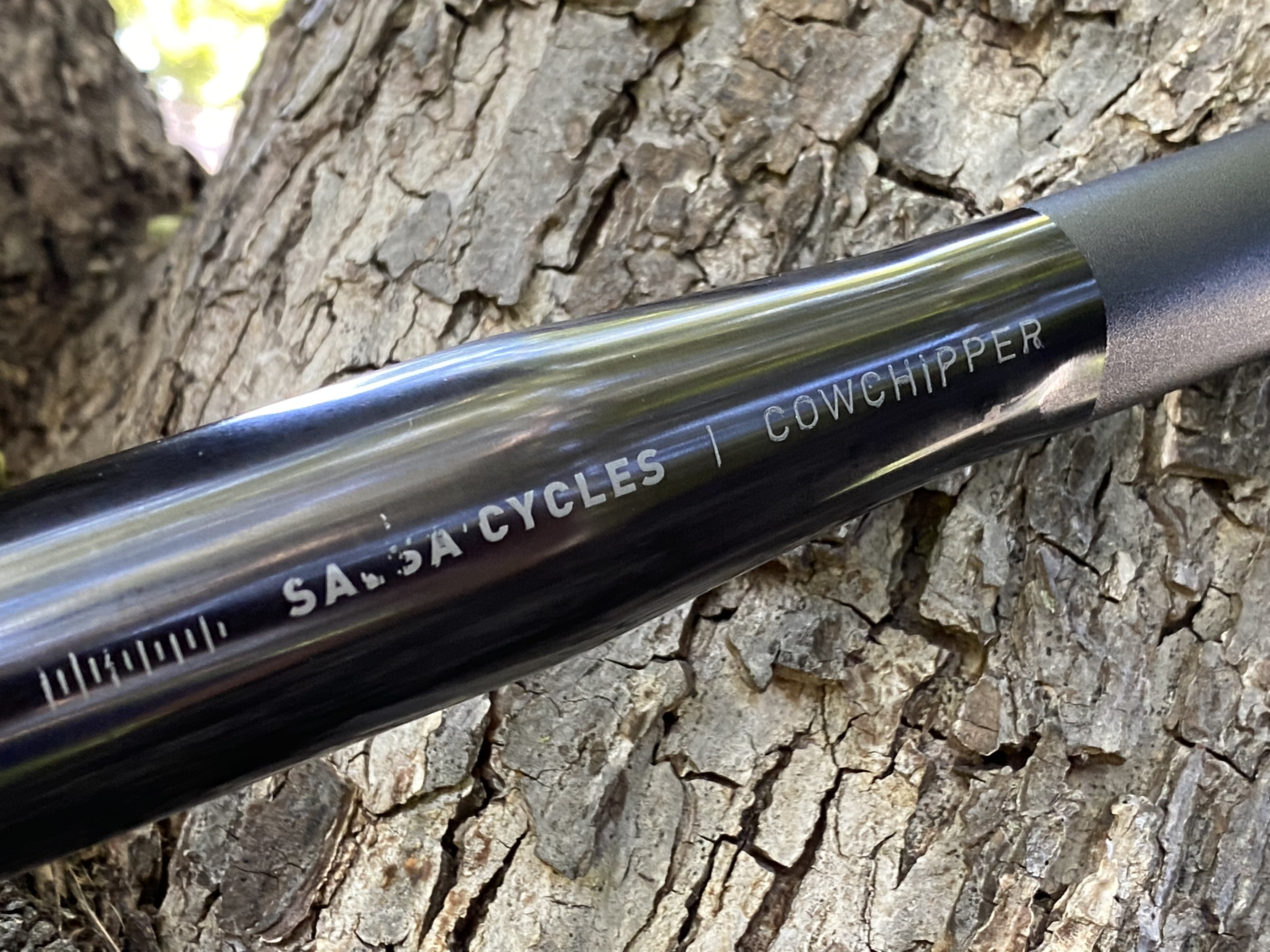 Salsa Cowchipper closeup